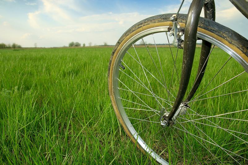 Cykelhjul med sommaräng i bakgrunden.